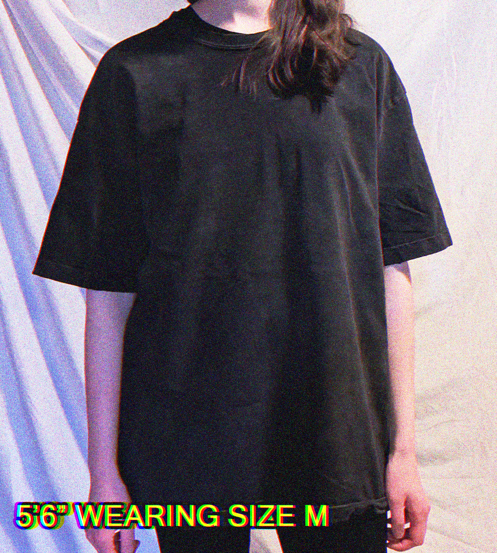 REGRESS - Premium 260GSM Vintage Lightly Frayed Oversized Tee